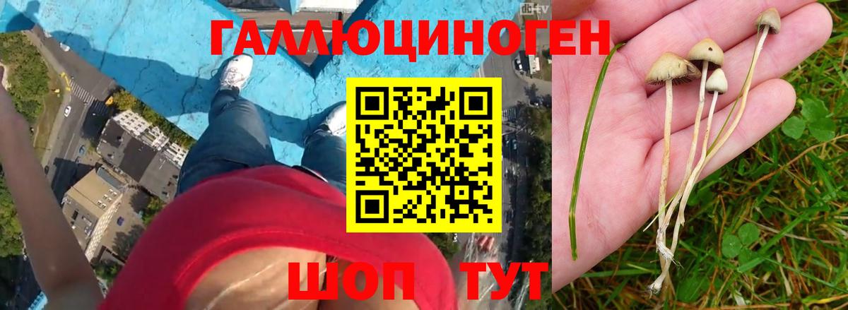 наркота  Вход с VPN  Ялуторовск  Псилоцибиновые грибы Psilocybine cubensis 