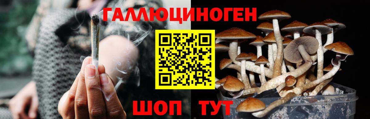 Галлюциногенные грибы MAGIC MUSHROOMS Ялуторовск